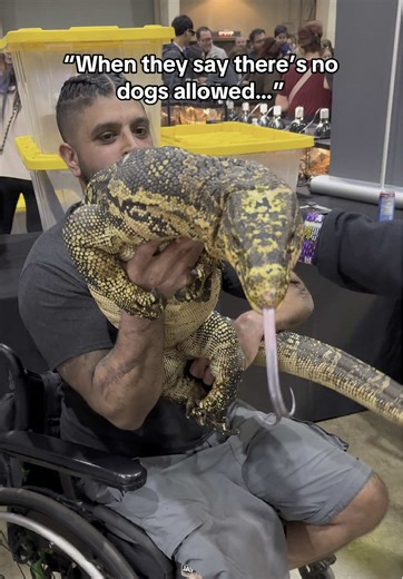 All I heard was “no dogs allowed.” 🤷🏽‍♂️🦎 @Stacy Anderson • • • • #reptile #reptiles #animals #trend #explorepage