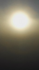 ALL-NEW 'Eclipse' Colors 🕶️ High-performance sport shades 💪 Durable, impact-resistant design ☀️Wraparound polarized lens Unmistakable style. Unbelievable performance | Blenders