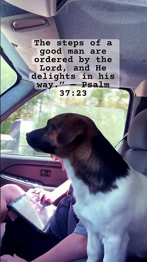 The steps of a good man are ordered by the Lord, and He delights in his way.” — Psalm 37:23