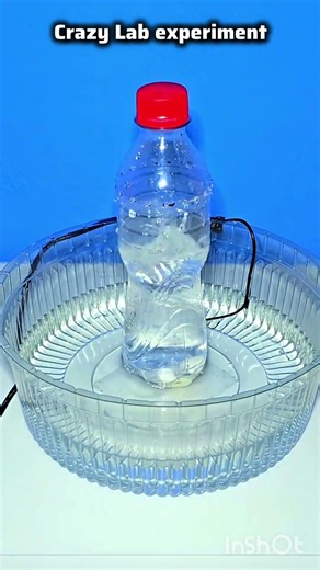 science project for class 8th student very easy project for students