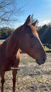 I love my sassy diva 🤣🩷#ridewithsheridan #chillinwithalatte #rodeo | Ride With Sheridan