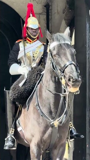 Up Close with the King’s Guard & Horse — Unseen Details 🇬🇧