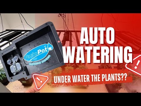 Before You Buy AutoPots… Watch This (Mistakes, Tips & Setup Guide)