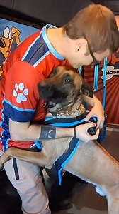 The maligator 🐊 #rundawg #mobiledoggym #maligator | Run Dawg