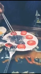 Whi else would try it? Just me? #rat #snack #yum #food #animal | AJ's Reptiles