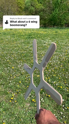 Replying to @Black noir six wings 🪃