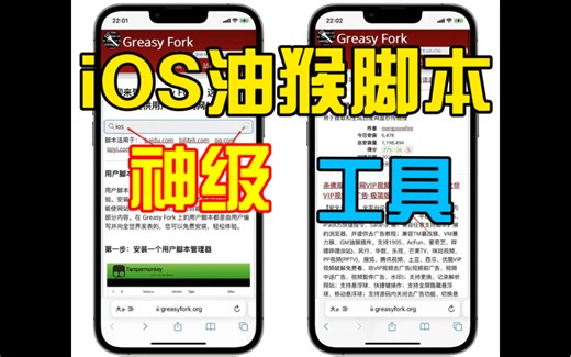 iOS端两款油猴脚本神级管理器，Safari浏览器必备工具，快冲！