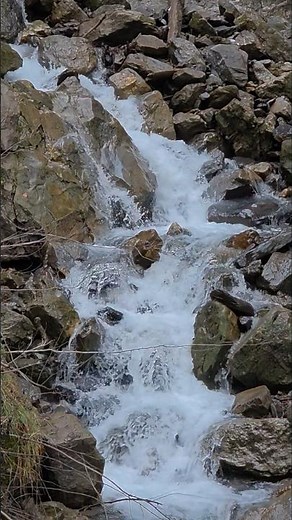 1779: Goethe's Inspiration at Swiss Waterfall 📜#shorts #nature #travel #waterfall #switzerland