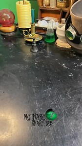 Clown Ball Python! #reels #clown #ballpython #animals #snake #reptiles | The Molinaro Snake Lab