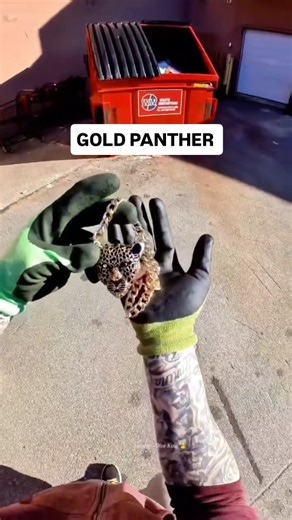 I found a gold panther chain dumpster diving!! #dumpsterdiving #panther #animal #lion #gold | Dumpster Dive King