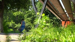 passers-by walking along the path laying a route with their feet.