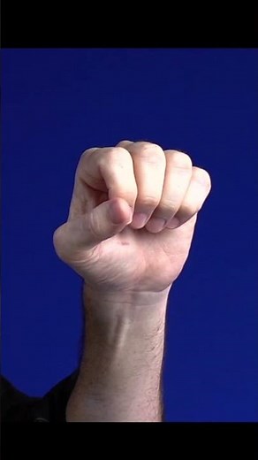 Fundamental Joint Motions for Nylon String Guitar Players