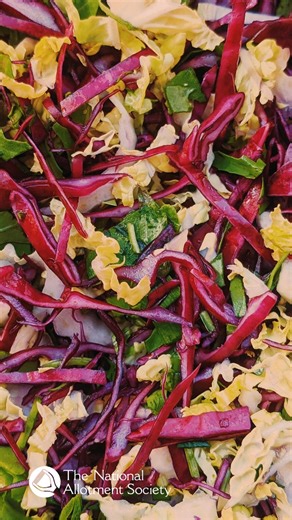 Red Cabbage Did you know red cabbage isn’t just crunchy and colorful—it’s a total multitasker in the kitchen and beyond? Here are a few ways to enjoy it: 🟣Culinary Superstar – Try it in: 🟣Vibrant slaws for tacos or burgers 🟣Braised red cabbage with apples and balsamic 🟣Stir-fries with ginger and soy 🟣Pickled red cabbage to jazz up sandwiches and grain bowls 🟣Natural Food Dye – Boil it for a gorgeous purple hue in rice, pasta, or even desserts! 🟣 Kitchen Science – Red cabbage juice changes