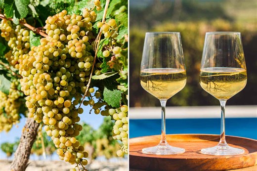 The Biggest Misconceptions About the World’s Most Popular White Wine