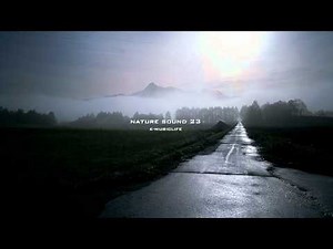 Nature Sound 23 - RAIN SOUND / THE MOST RELAXING SOUNDS -