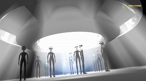 1.8K views · 1.9K reactions | Do you feel like your adopted or like...