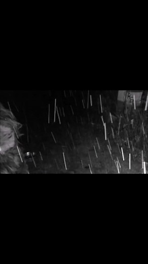 Peter Caine on TikTok