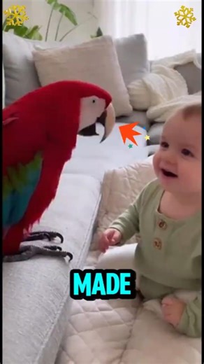 😂 Top 3 Cat Fails You Can’t Stop Rewatching!#cat #FunnyCats #CatShorts #CatFails #catlovers #funny