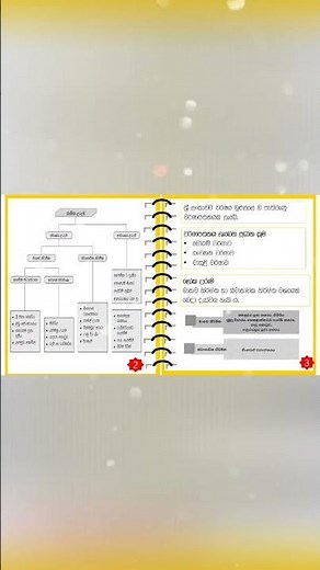 Grade 7 Geography Exam Notes 🔥 | Fast Revision for School Exams 🌍📚 December 2, 2025