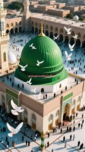 #new #trending #trendingshorts #islamicvideo #islamicstatus #islam #islamic #deen #shortsfeed #viral