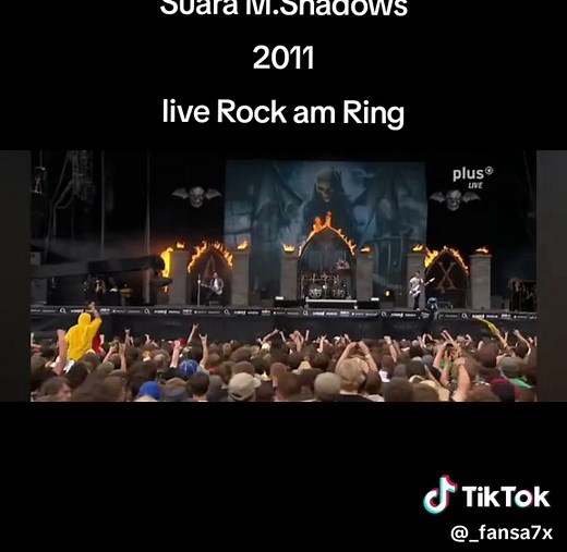 M. Shadows Live at Rock am Ring 2011 Performance