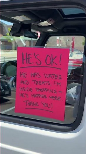 aww such a good boy! 😂