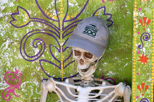 🎃Starting Friday, October 18, come out in your best costumes and take a stroll for Boo at the Zoo, presented by OneAZ Credit Union! General public timed tickets start at 6 p.m. and tickets must be purchased in advance. Remember to bring your own treat bag while you stroll through Trick-or-Treat Trail to collect candy and unique treasures! Get tickets: https://reidparkzoo.org/event/boo-at-the-zoo-2024/ | Reid Park Zoo