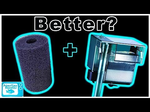 Hang on Back Filter Pre-Filter Intake Sponges: Are They Worth It?