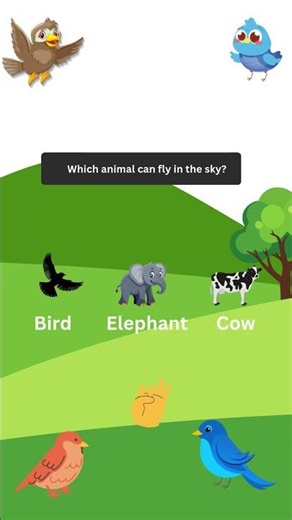 Baby Quiz #quiz #quizchallenge #puzzle #quiztime