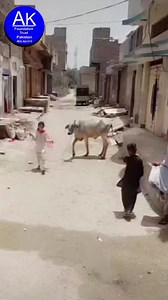 3.7K views · 89 reactions | Ak Foundation Trust on Reels | Facebook