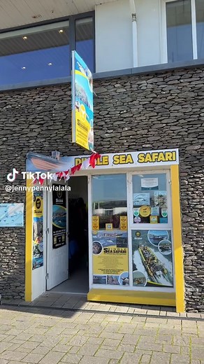 Amazing Adventure at Sea in Dingle, Ireland