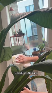 26 reactions | Starte ins Neue Jahr mit weniger Stress! Buche dir eine Reinigung via Helpling. *50% Promo code Helpling50 | Helpling | Facebook