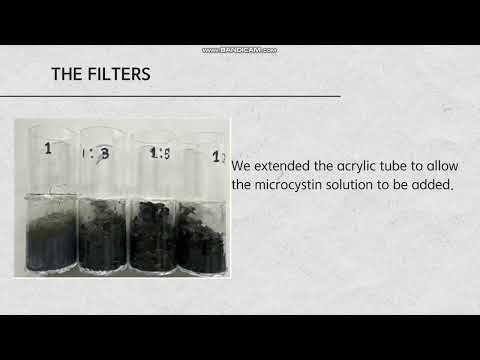 Fabrication of a microcystin adsorption filter using discarded? (GYEONGSAN Science High School)