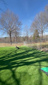 Rainey, Barney, Lucy Lu, Tupper, Eazy Jacc, and Freckles 😇 | Tuscarora's Country Club for Dogs