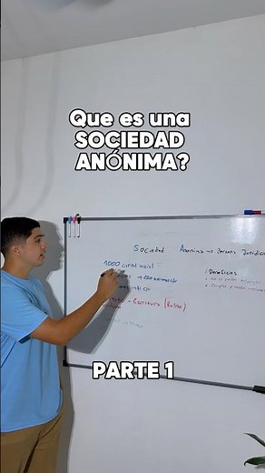 PARTE 1. Qué es una sociedad anónima?#sociedadanonima #argentina #sa