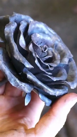 Forging an Iron Rose