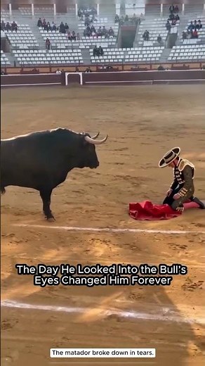 The Matador Who Dropped His Sword — The Moment That Shocked the Bullfighting World