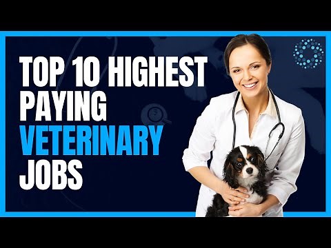 Top 10 Highest Paying Veterinary Jobs