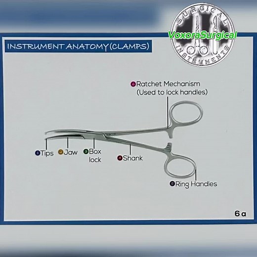 🔧💉 Surgical Clamps: Small Tools, Big Impact! 💉🔧 Used to grip, hold, or stop bleeding, surgical clamps are essential in every procedure 🛑🩸 💪 From Mosquito clamps for tiny vessels to Kocher clamps for tough tissue — precision matters! 🛠️ Built with: 👄 Jaws | 🔁 Ring handles | 🔒 Ratchet lock 👨‍⚕️ Mastering these tools = mastering the art of surgery 🧠✨ 📌 #SurgicalClamps #MedicalInstruments #ScrubLife #SurgicalTech #OperatingRoomTools #SurgeryEssentials #MedStudentLife #NurseInTraining #