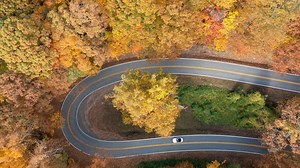 Current fall foliage report | Metro Atlanta, north Georgia mountains