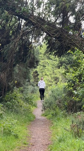 🌲 Step into Nature at Sliabh Bawn The Trim Trail at Sliabh Bawn is a peaceful woodland loop that combines fitness and fresh air with sweeping views over Roscommon’s countryside. There’s also a playground along the trail, making it a great spot for families to spend time together outdoors. Whether you're up for a run, a brisk walk or a quiet moment surrounded by nature, this trail has something for everyone. Take a moment to enjoy the calm, it’s the ultimate place to reset. Plan your next walk a