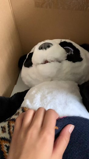 Meet Plum the Panda: A Furreal Friend Panda with the Biggest Smile