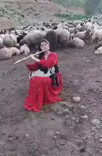 11K views · 248 reactions | Soframda Kaval Sesi | Kozan | Facebook