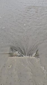 585K views · 3K reactions | #ACTU_KOUMASSI Assainissement et drainage...