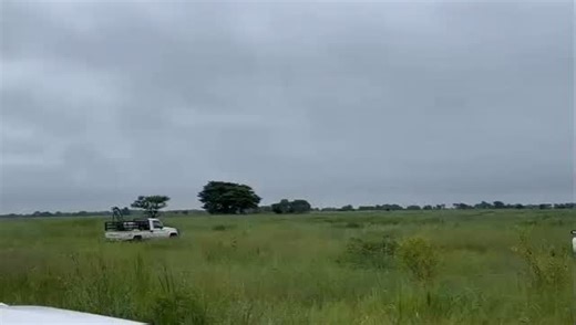 Locust outbreak…Agriculture ministry officials are on the ground in the Zambezi region, working tirelessly to protect farmers’ crop fields following a locust and Army worms outbreak. Control teams are actively spraying affected areas to stop the spread and safeguard maize and millet at critical growth stages. Farmers are urged to report any sightings as government intensifies efforts to protect livelihoods and food security. Video: Contributed | New Era Newspaper