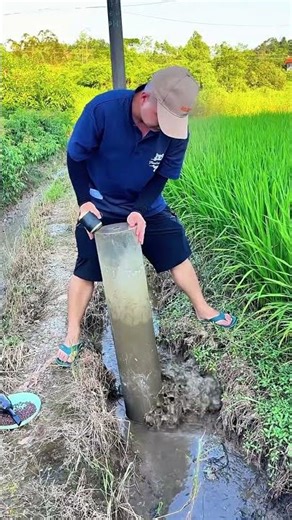 This is the best Cordless Vacuum Cleaner Ive ever used lightweight