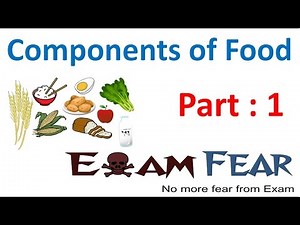 Biology Components of Food Part 1 (Introduction) Class 6 VI