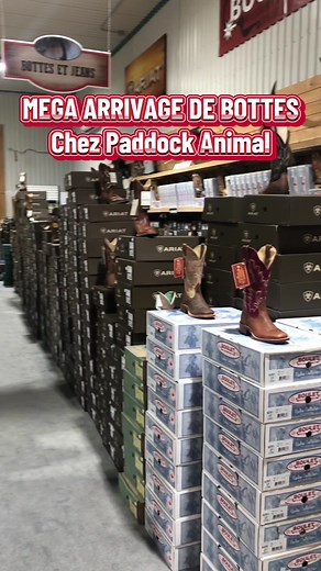 Les meilleures bottes de cowboy chez Paddock Animal