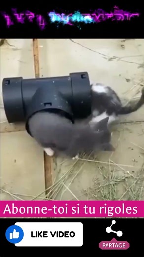 Si tu as rigolé 😂, abonne-toi