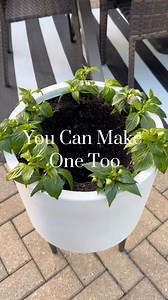 24K views · 108 reactions | This solar fountain is so neat and easy to make!This one lights up at night.  Comment WATER to shop this post. #amazonfinds #summermusthave #amazongadgets | Simply Staged and Styled | Facebook